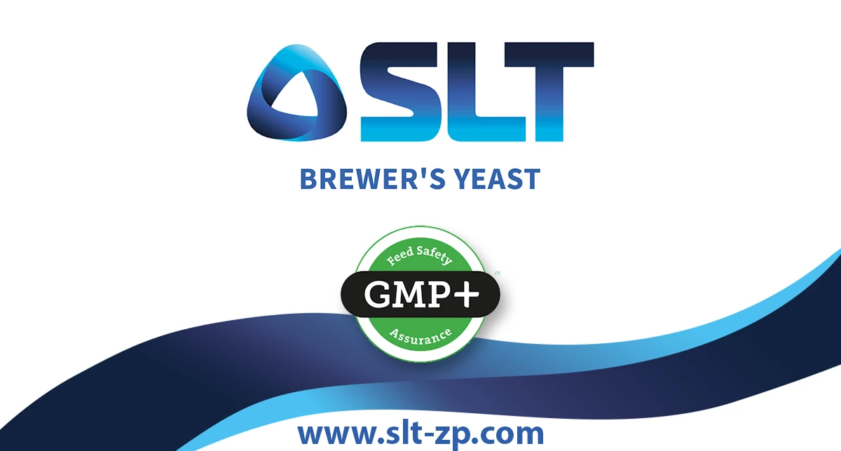 SLT GMP+
